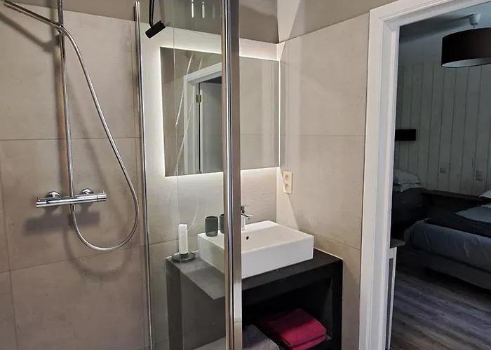 Πανσιόν Des Roches