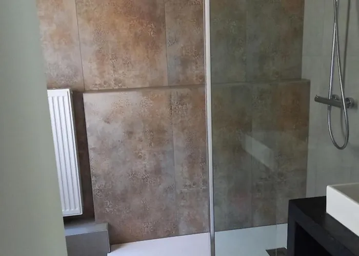 Πανσιόν Des Roches